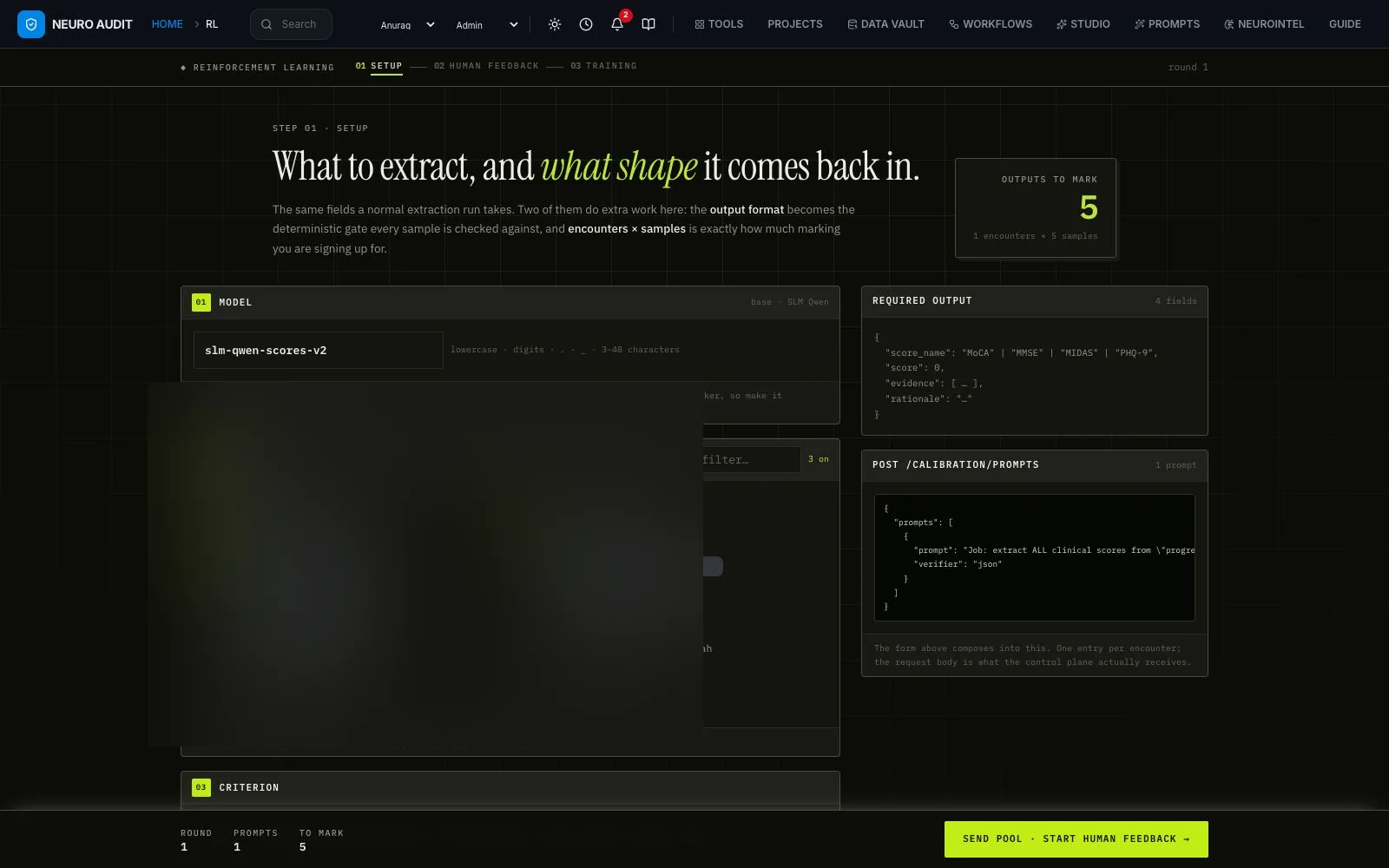 RL setup page with model name, required output and request body